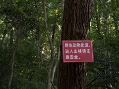 -西泠印社