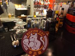 -Boxing Cat Brewery拳击猫精酿啤酒馆(永福店)
