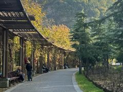 -狼山风景名胜区