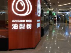 -油梨树 AVOCADO TREE(亮马桥店)