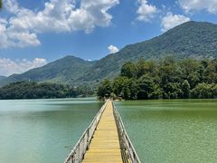 -广州市流溪河国家森林公园