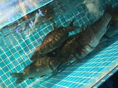 -最爱妈妈菜·宜春本地菜(一店)