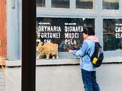 -Sirena海妖日咖夜酒