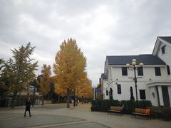 -南山健身公园