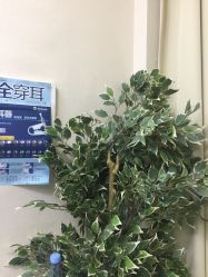 点击看大图 -Wisezone唯点穿耳打耳洞专业国际连锁品牌