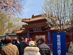 -桃花堤公园