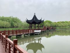 -广富林郊野公园