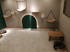 -飞行喵MR PILOT|猫舍·猫咖(静安大融城店)