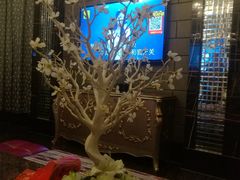 -尚橙歌坊主题式KTV(恒大商业广场店)