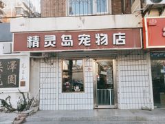 -精灵岛宠物生活馆(洪泽花园店)