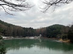-四明山国家森林公园