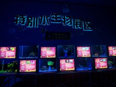 -厦门海底世界