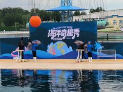 -秦皇岛乐岛海洋王国