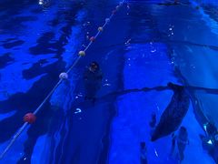 -海合安青岛极地海洋公园