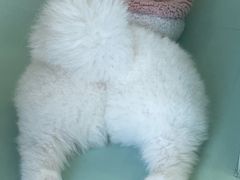 -怪兽屋·羊驼·猫咖·狗咖(俊华广场店)