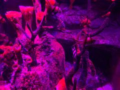 -沈阳海洋探索中心