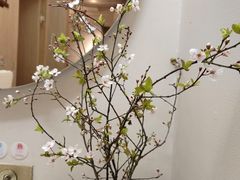 -梅花境(万科店)