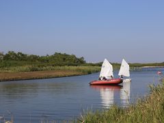 -春花秋色城市公园