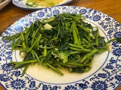 -菜当家