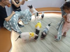 -猪盟咖啡店(玖洲道店)