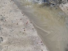 -北海金海湾红树林生态旅游区