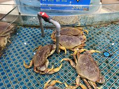 -同庆楼(奥体中心店)