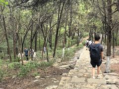 -云龙山