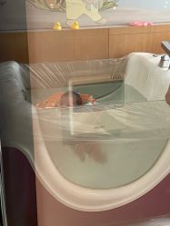 -贝瑞佳月子会所(杭州旗舰店)