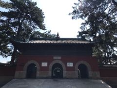 -普乐寺