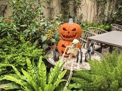 -Osteria Garden 生蚝花园餐厅(原进贤路店)