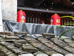 -福建土楼(南靖)景区