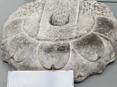 -西安大唐西市博物馆