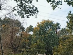 -韩湘水博园