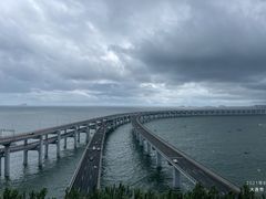 -星海湾跨海大桥