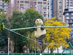 -成都市活水公园