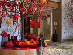 -广州粤海喜来登酒店