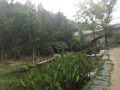 -白水寺森林公园