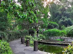 -成都市活水公园