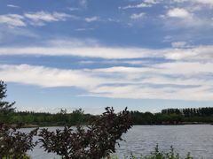 -东郊湿地公园