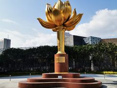 -金莲花广场