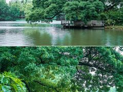 -东山湖公园