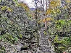 -洛阳白云山景区