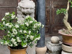 -留荫庐旅馆(南浔古镇百间楼店)