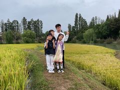 -乌村