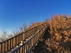 -帽儿山国家森林公园