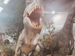 -湖南省地质博物馆