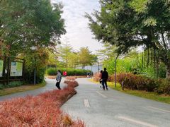 -福田红树林生态公园