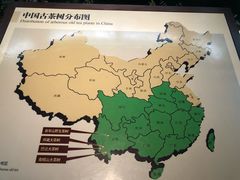 -中国茶叶博物馆(双峰馆区)