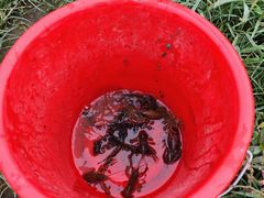 -梁鸿国家湿地公园