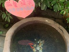 -董府·古宅餐厅
